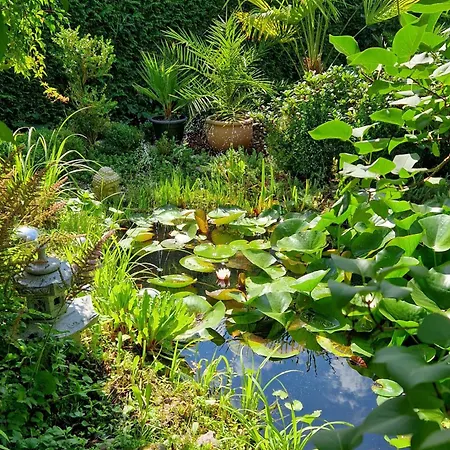 Apartment Waldblick