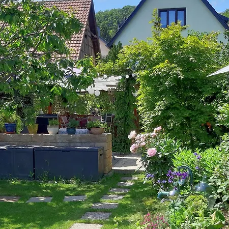 Waldblick